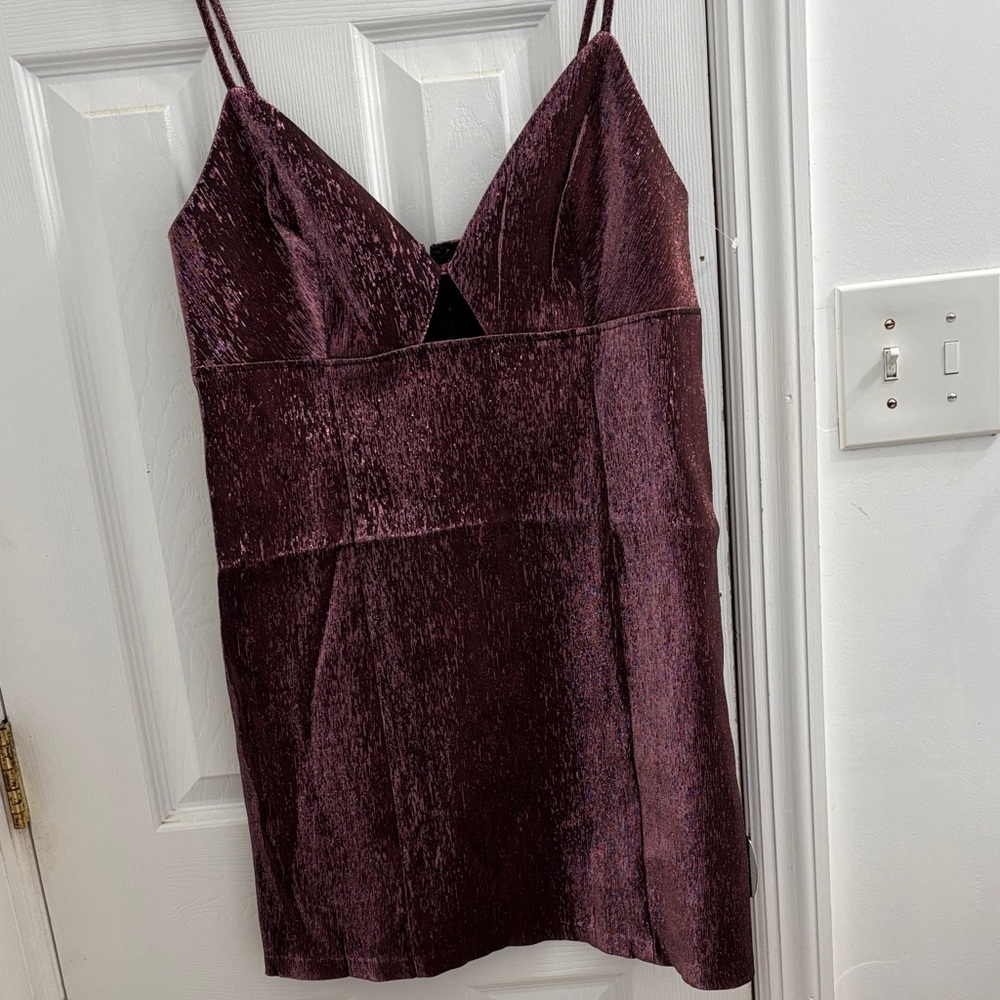H&M Deep Purple Velvet Mini Dress